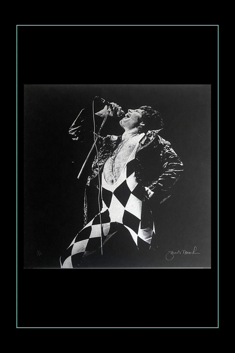 Janet Macoska — Freddie Mercury photograph